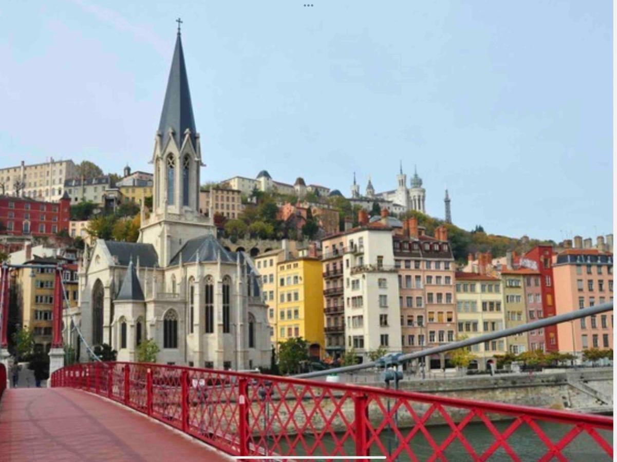 Beau Duplex Avec Jardin Et Vue Apartment Lyon Exterior photo