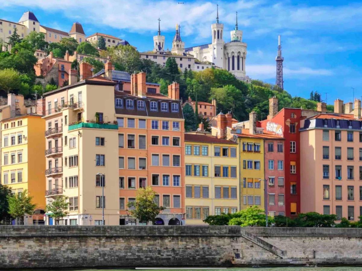Beau Duplex Avec Jardin Et Vue Apartment Lyon Exterior photo